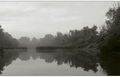 tisza-arter1-ff.jpg