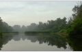 tisza-arter1.jpg