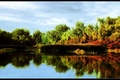 tisza-arter2-digill.jpg