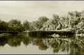tisza-arter2-ff.jpg