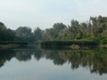 tisza-arter2-orig.jpg