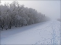 tiszapart-telen.jpg